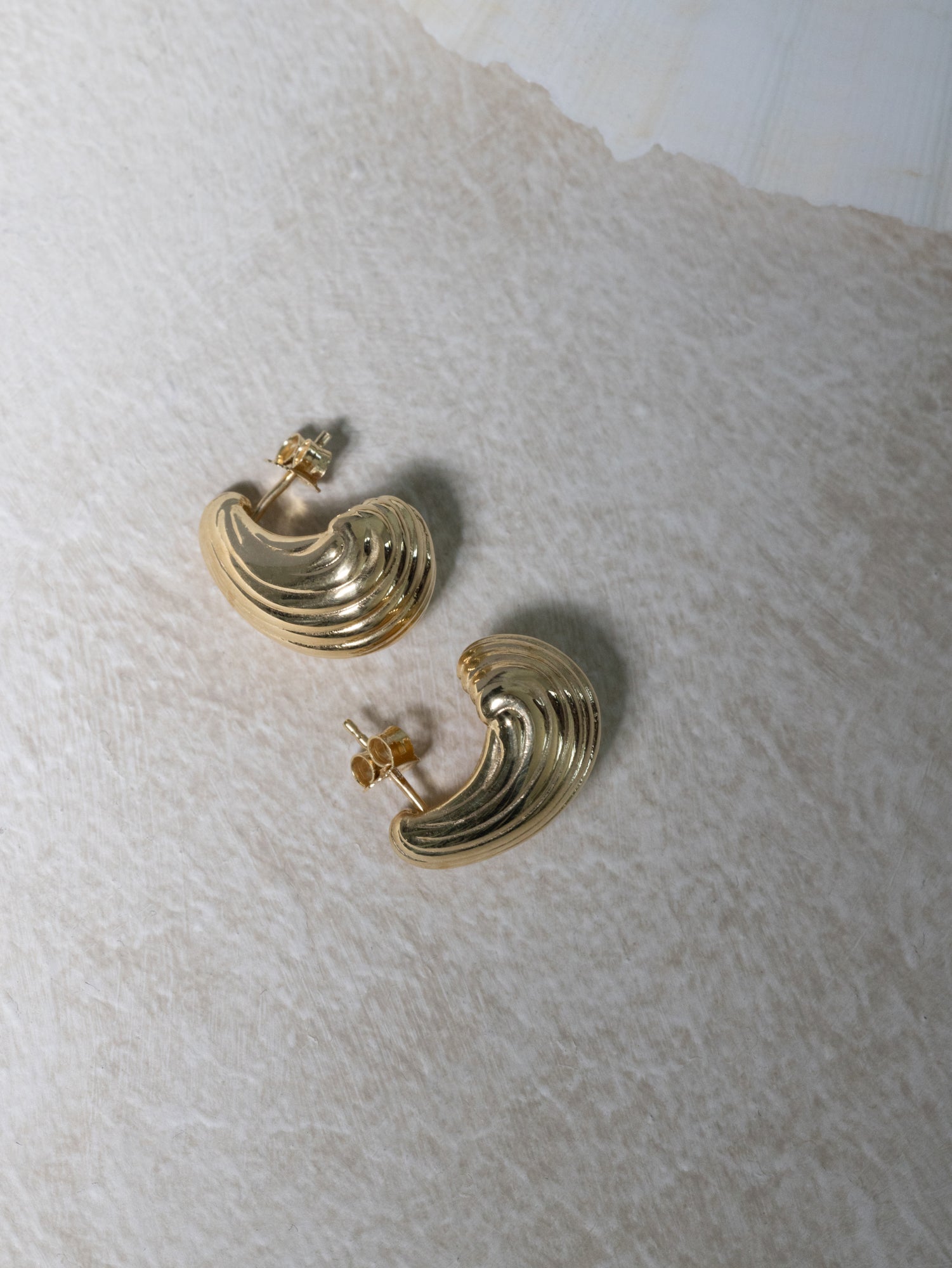 RIBBED SHELL EARRINGS