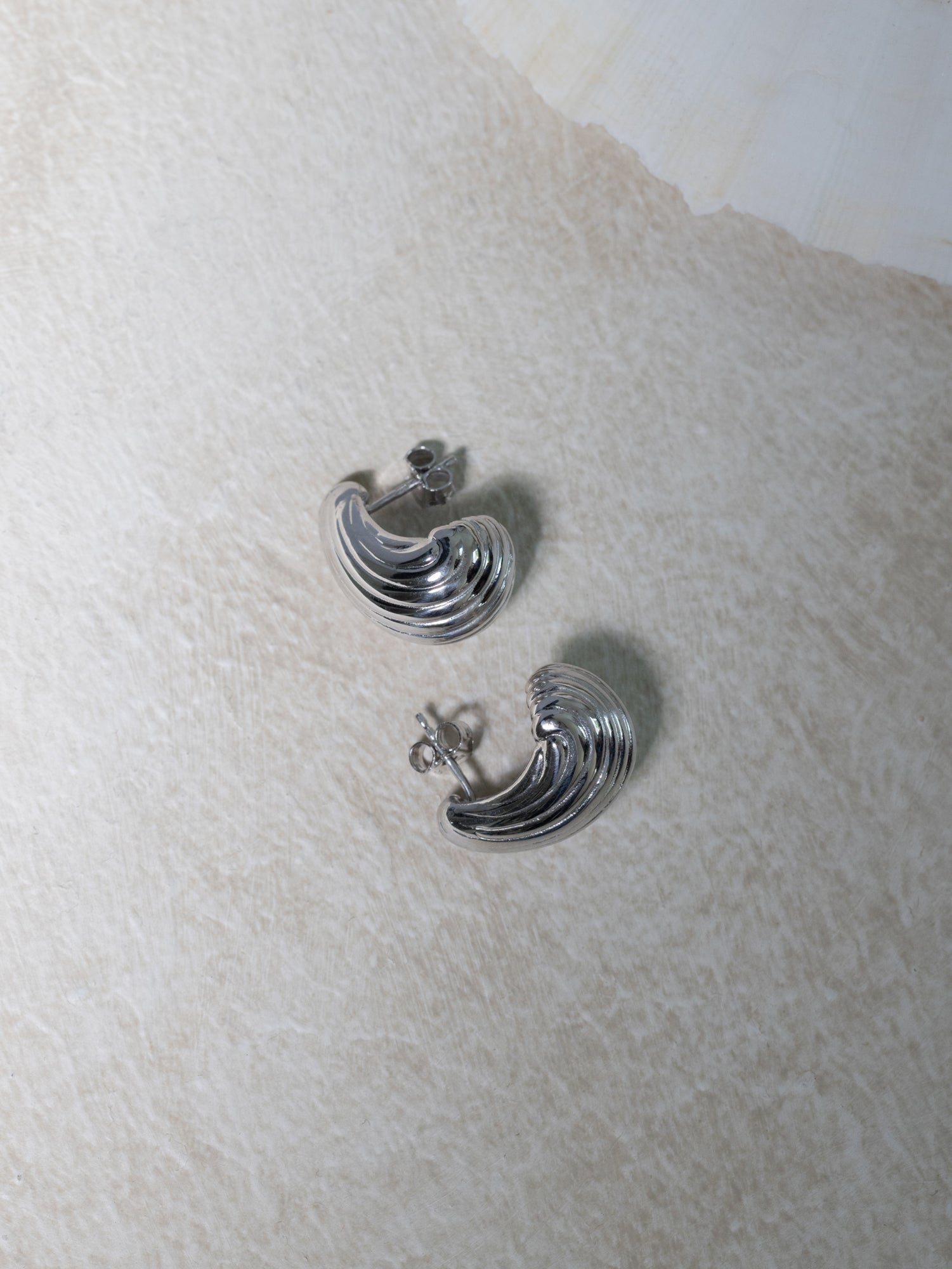 RIBBED SHELL EARRINGS